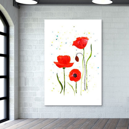 Poppy Flowers/Shweta D