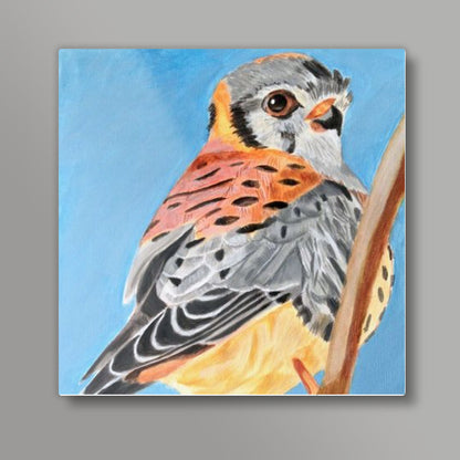 Kestrel Bird Square Artwork