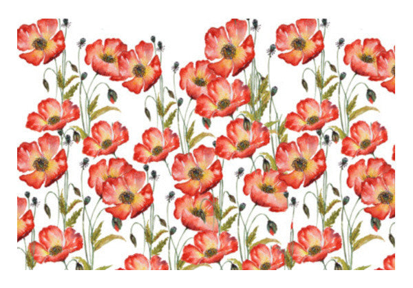Blooming Poppy Flowers Floral Spring Decor Art PosterGully Specials