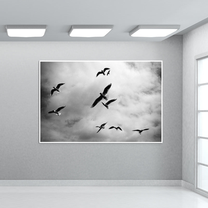 Birds Wall Art