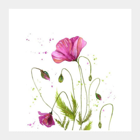 Watercolor Pink Poppy Flower Painting Botanical Square Art Prints PosterGully Specials