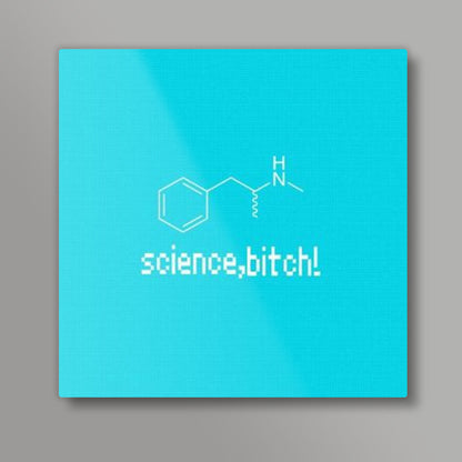 Science Bitch Square Art Prints