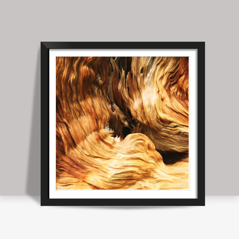 Into the Woods - Wood Pattern | Nature Edition Square Art Prints