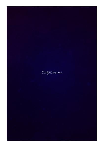 PosterGully Specials, Stay curious typography Wall Art