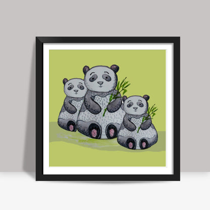 Cute Panda Bear Trio Painted Cartoon Animal Poster For Children  Square Art Prints