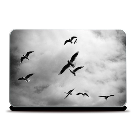 Laptop Skins, Birds Laptop Skins