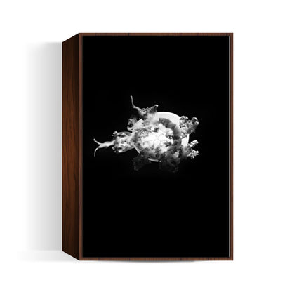 BW Jelly Fish Wall Art