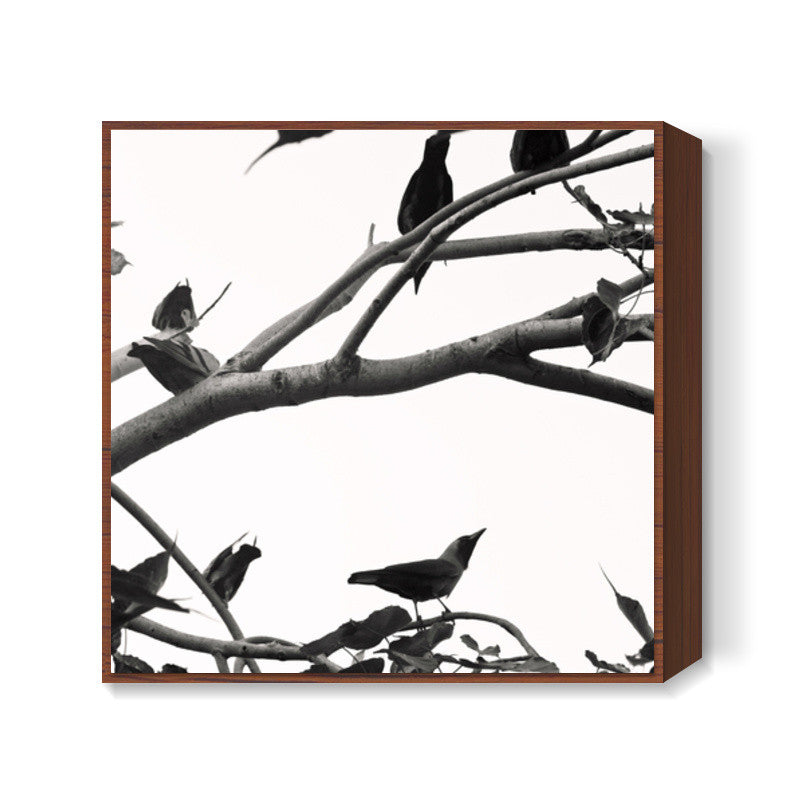 Little Birdies Square Art Prints