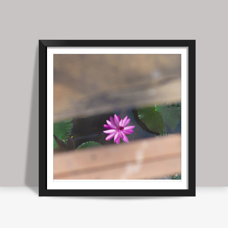 LOTUS Square Art Prints
