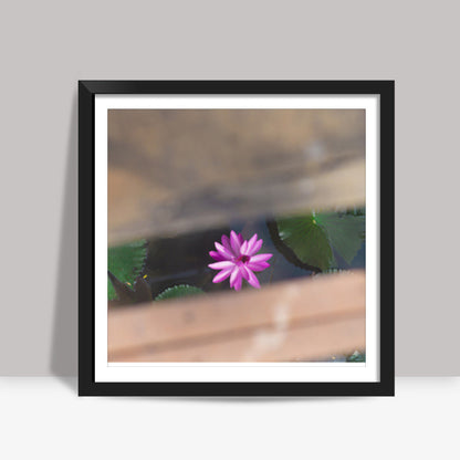 LOTUS Square Art Prints