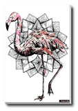 Brand New Designs, Flamingo Artwork