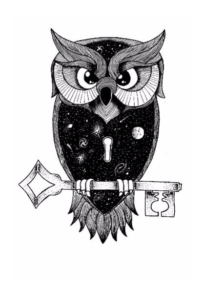 Wall Art, Drawing Cosmic owl Wall Art
