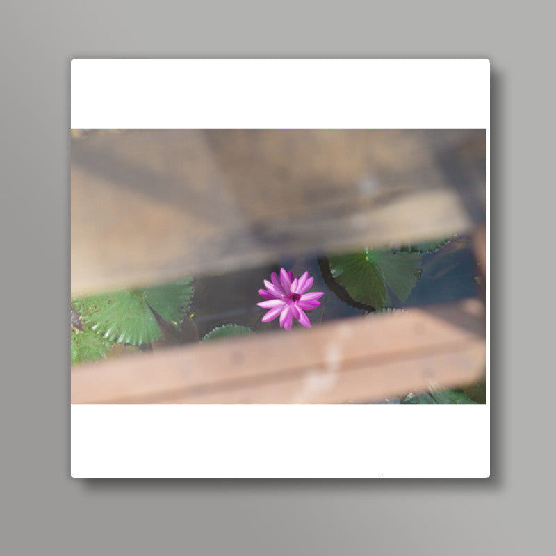 LOTUS Square Art Prints