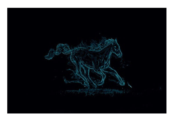 Black Beauty  Wall Art