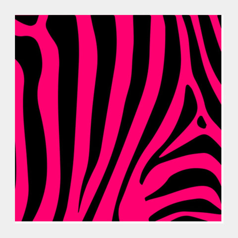 Pink Zebra Square Art Prints