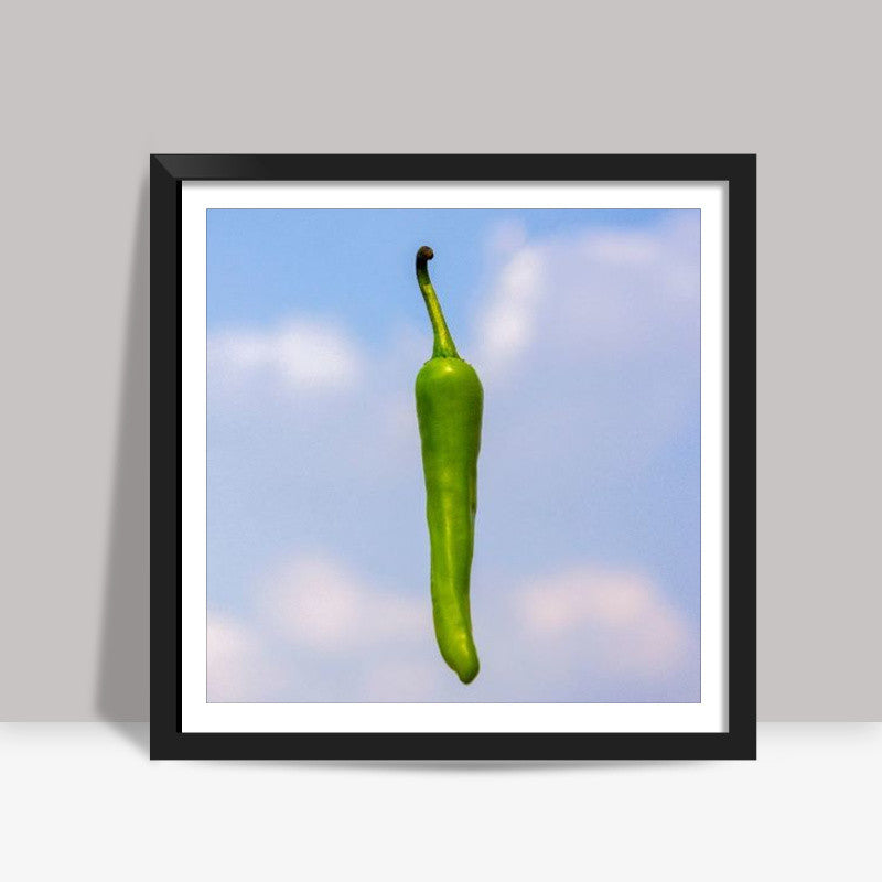 Chilli  Square Art