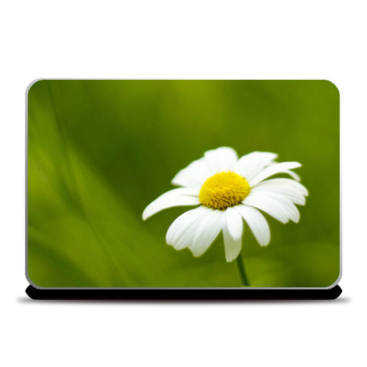 Laptop Skins, Daisy Laptop Skins