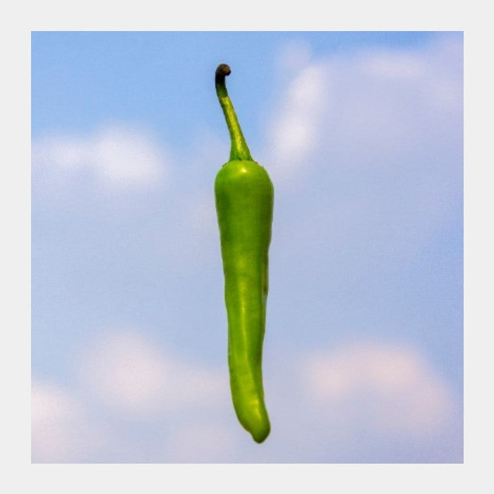 Square Art Prints, Chilli  Square Art