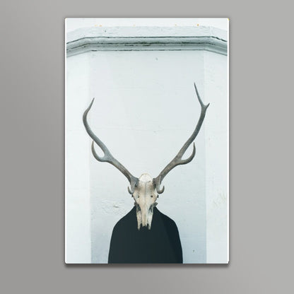 Skull Wall Art