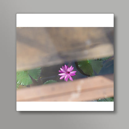 LOTUS Square Art Prints