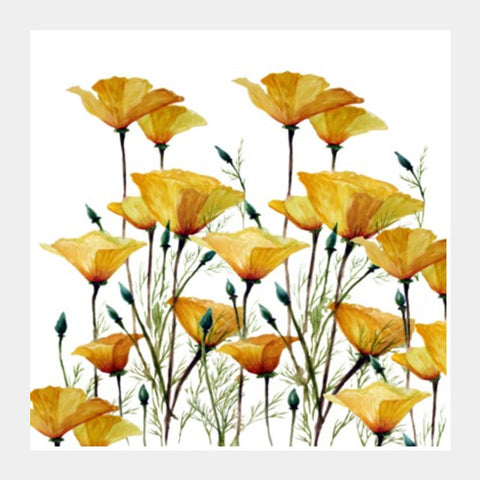 Square Art Prints, Beautiful Yellow Poppy Watercolor Flowers  Square Art Prints