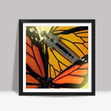 Butterfly Square Art Prints