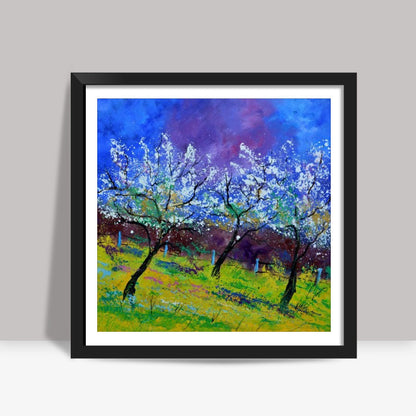appletrees in spring Square Art Prints