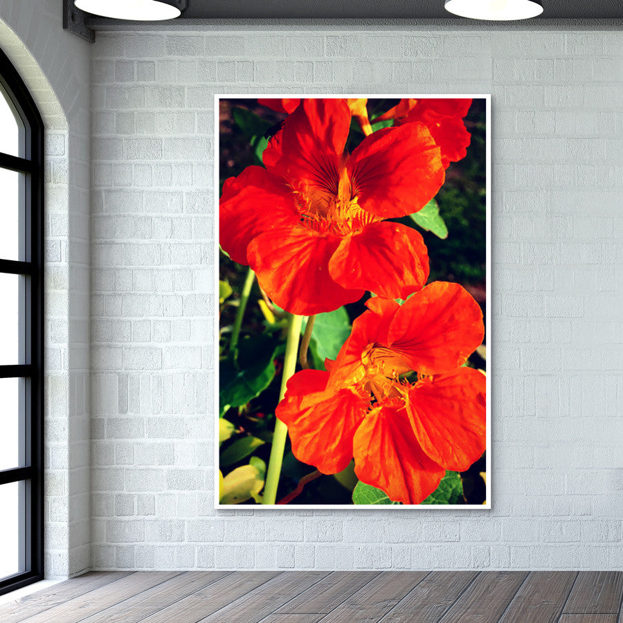 Beautiful Orange Flowers Wall Art