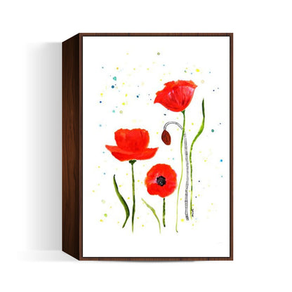 Poppy Flowers/Shweta D