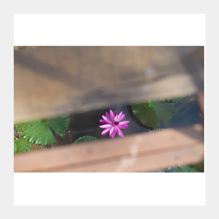 LOTUS Square Art Prints