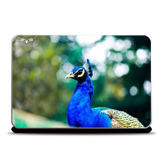 Laptop Skins, Peacock Laptop Skins