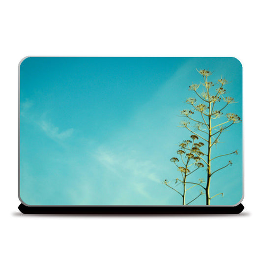 Fern in the Turkish sky 2 Laptop Skins