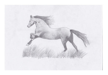 The Stallion Wall Art