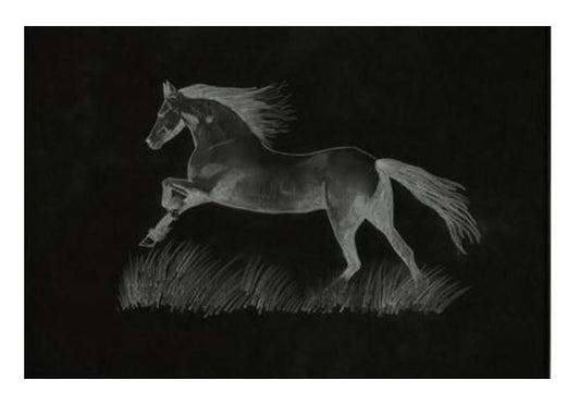 PosterGully Specials, Black Beauty Wall Art