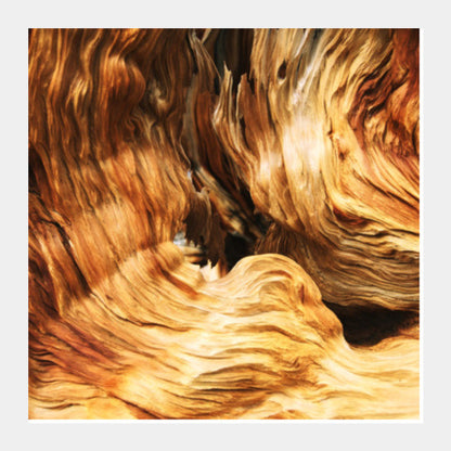 Into the Woods - Wood Pattern | Nature Edition Square Art Prints