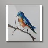 Bird wall decor frame on canvas  Square Art Prints