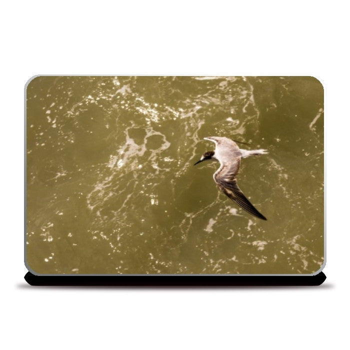 Laptop Skins, In Flight Laptop Skin