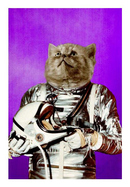 PosterGully Specials, Reach for the stars Wall Art