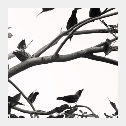 Little Birdies Square Art Prints PosterGully Specials