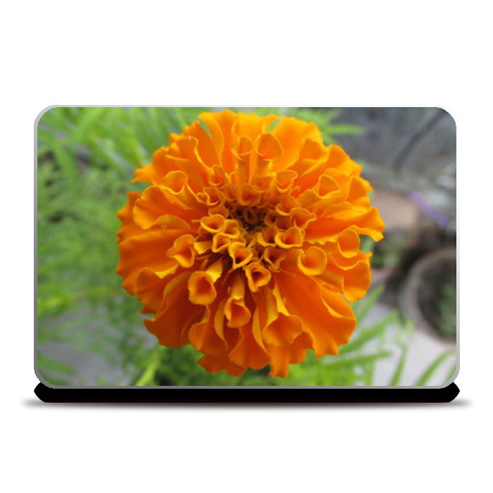 Saroj Meher Laptop Skins