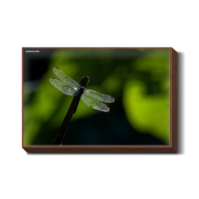 Wings Wall Art