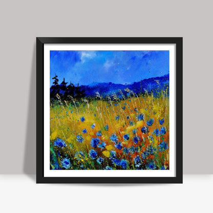 blue cornflowers 45586321 Square Art Prints