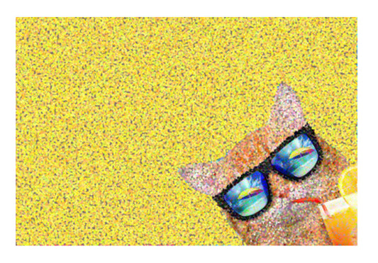 Summer cat Wall Art