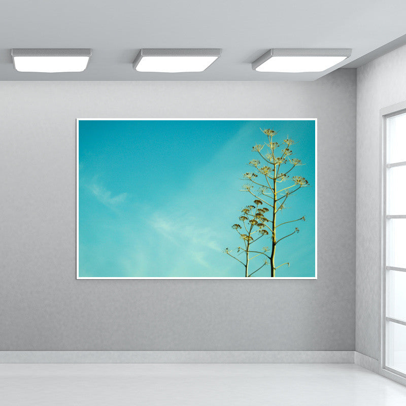 Fern in the Turkish sky 2 Wall Art