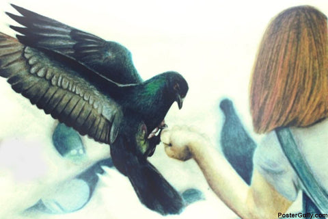 Wall Art, Pigeon Artwork