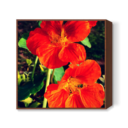 Beautiful Orange Flowers Square Art