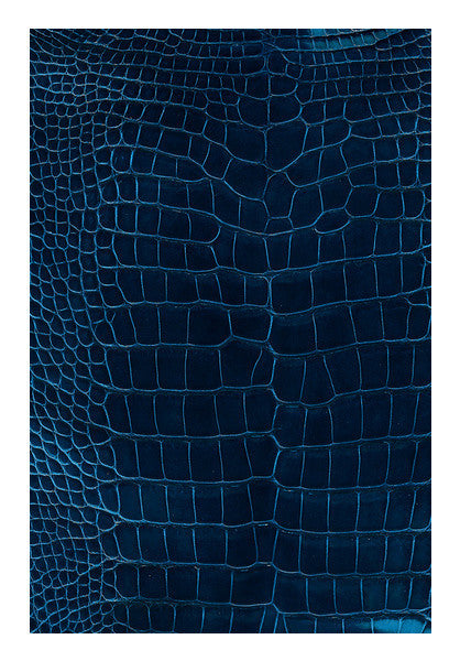 Blue Skin Art PosterGully Specials