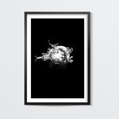 BW Jelly Fish Wall Art