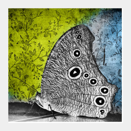 Square Art Prints, Moth Maiden Square Art | Lotta Farber, - PosterGully