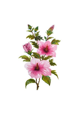 PosterGully Specials, Painted Pink Hibiscus Flowers Tropical Floral  Wall Art